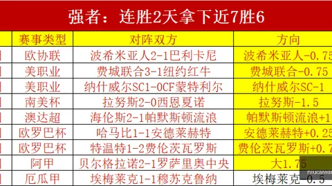 巴甲足球赛事数据：弗拉门戈圣保罗，内附比分。